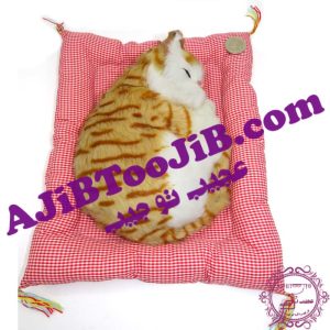 گربه ناز خوابیده روی تشک موزیکال (سایز بزرگ)