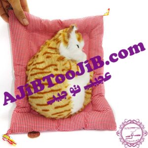 گربه ناز خوابیده روی تشک موزیکال (سایز بزرگ)