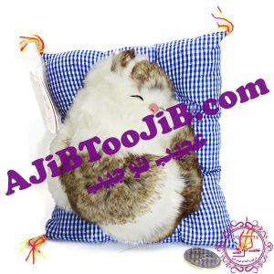 گربه ناز خوابیده روی تشک موزیکال (سایز کوچک)
