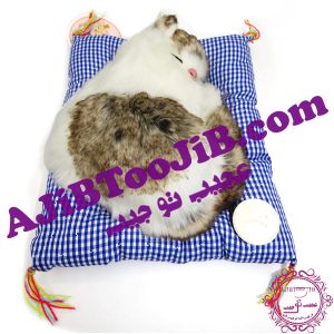گربه ناز خوابیده روی تشک موزیکال (سایز کوچک)