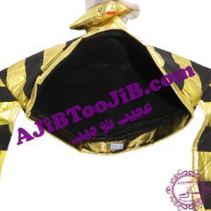 Hat Pharaoh of Egypt