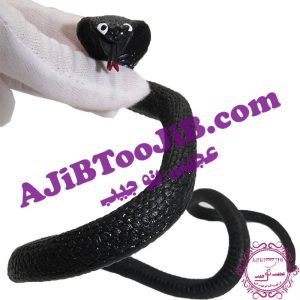 مار ژله ای بزرگ