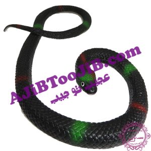 مار ژله ای بزرگ