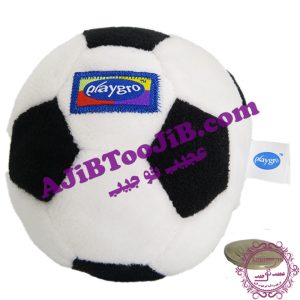 Bell polish soccer ball