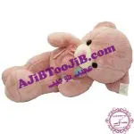 خرس های مهربان پاپیون دار