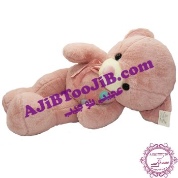 خرس های مهربان پاپیون دار