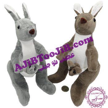 کانگوروی مادر بچه دار