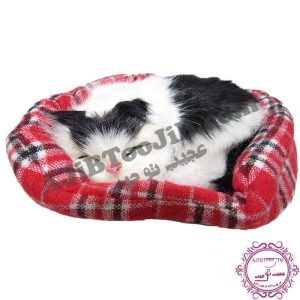 گربه ناز خوابیده در سبد