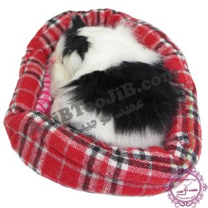 گربه ناز خوابیده در سبد