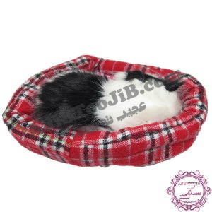 گربه ناز خوابیده در سبد