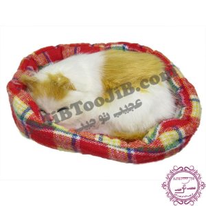 گربه ناز خوابیده در سبد