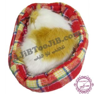 گربه ناز خوابیده در سبد