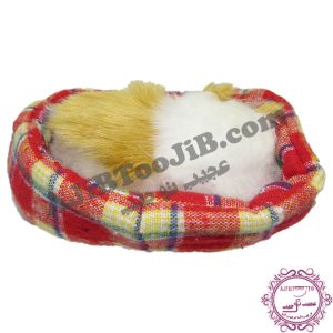 Sleeping cat on basket