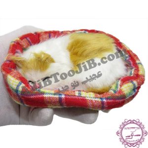 گربه ناز خوابیده در سبد