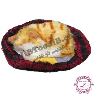 گربه ناز خوابیده در سبد