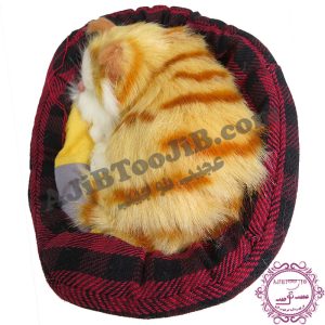 گربه ناز خوابیده در سبد