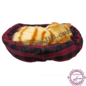 گربه ناز خوابیده در سبد