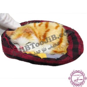 Sleeping cat on basket