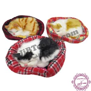 Sleeping cat on basket