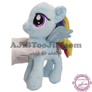 پونی رویایی بالدار