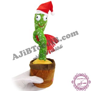 کاکتوس سخنگوی رقاص (کیفیت درجه یک) - Image 3