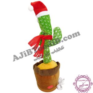 کاکتوس سخنگوی رقاص (کیفیت درجه یک) - Image 4