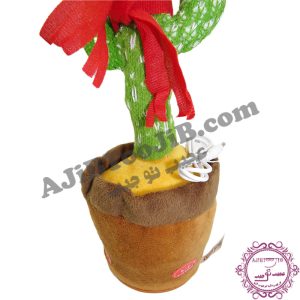 کاکتوس سخنگوی رقاص (کیفیت درجه یک) - Image 6