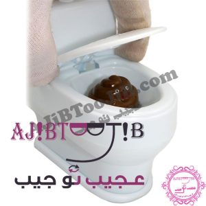 Joke Sprinkler toilet