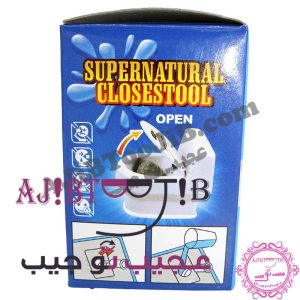 توالت فرنگی آبپاش