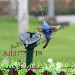 پرنده‌های رمانتیک چرخشی و لرزان