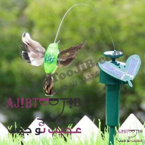 پرنده‌های رمانتیک چرخشی و لرزان