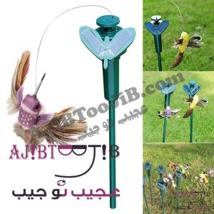 پرنده‌های رمانتیک چرخشی و لرزان