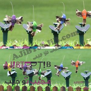 پرنده‌های رمانتیک چرخشی و لرزان