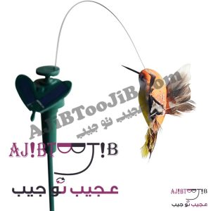 پرنده‌های رمانتیک چرخشی و لرزان - Image 2