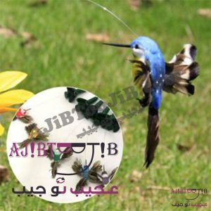 پرنده‌های رمانتیک چرخشی و لرزان