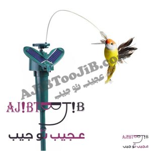 پرنده‌های رمانتیک چرخشی و لرزان