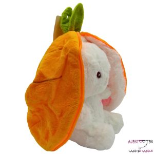 خرگوش های سورپرایزی ناقلا