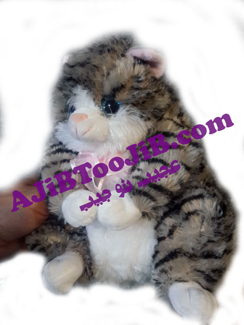 عروسک گربه ملوس خپل (صدادار) عروسک گربه ملوس خپل (صدادار)