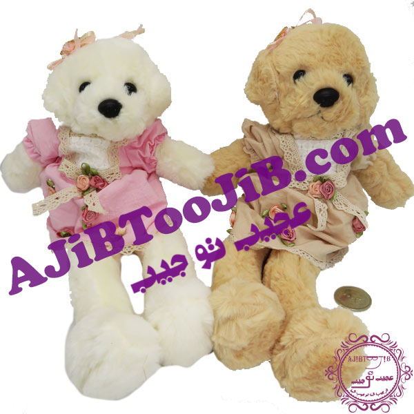 سگ جلی کت دامن گلی ناز سگ جلی کت دامن گلی ناز