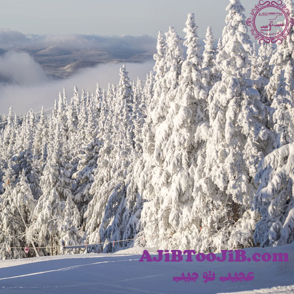 ساخت برف مصنوعی و جذاب