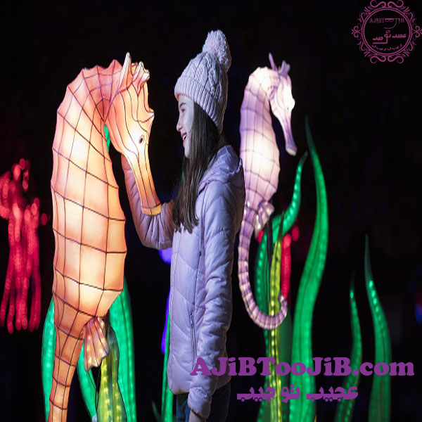 معروف ترین مسابقات سرگرمی