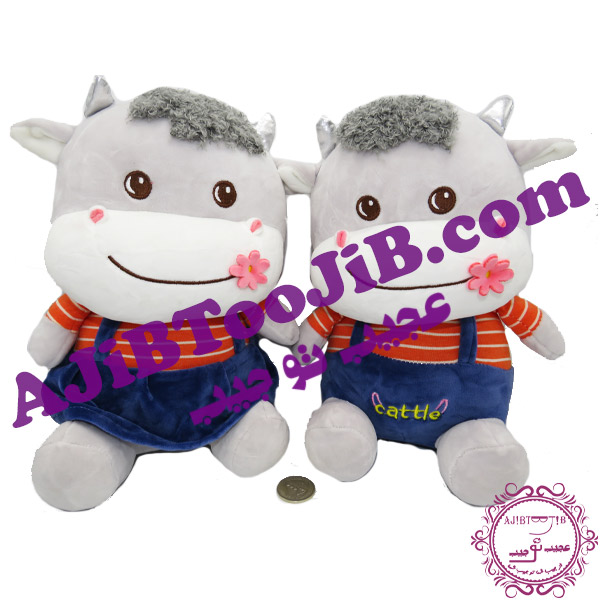 Smiling red cheek cows (11). گاو های لپ گلی خندان